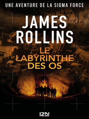 cover image of Le labyrinthe des os